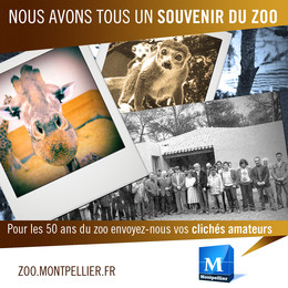 Envoyez nous vos souvenirs du zoo