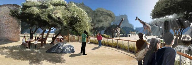Une nouvelle vie pour le zoo de Montpellier : un pôle majeur en matière de biodiversité