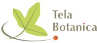  Tela Botanica