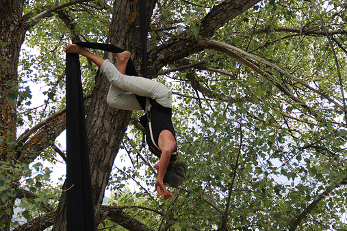 "Vol éphémère", une performance artistique dans les arbres du parc de lunaret