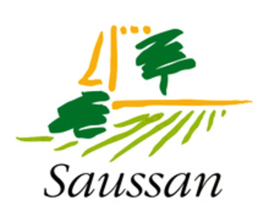 Saussan Logo