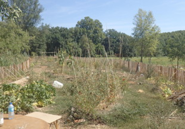 Agropolis Jardins Partagés