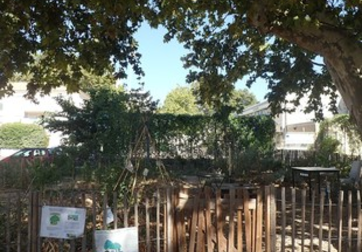 Espla de la Musique (Boz'arbres)