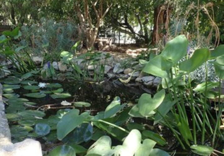 Jardin Mélina Mercouri