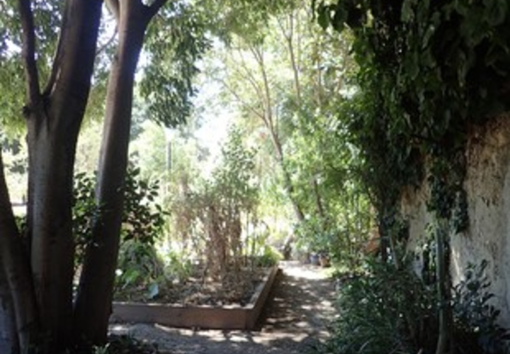Jardins Partagés Clemenceau