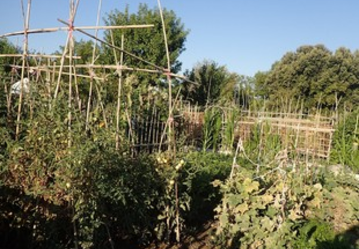 jardin partagé Jardin Bosphore