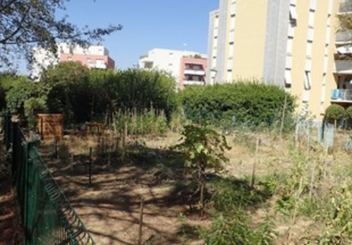 jardin de la pompignane jardin partagé