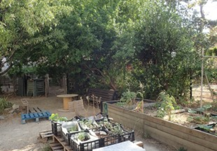 Jardin DeMain jardin partagé