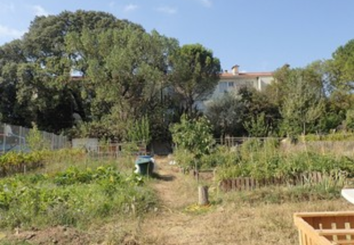Jardin Estanove