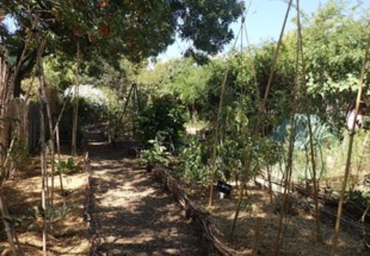 Jardin Voltaire