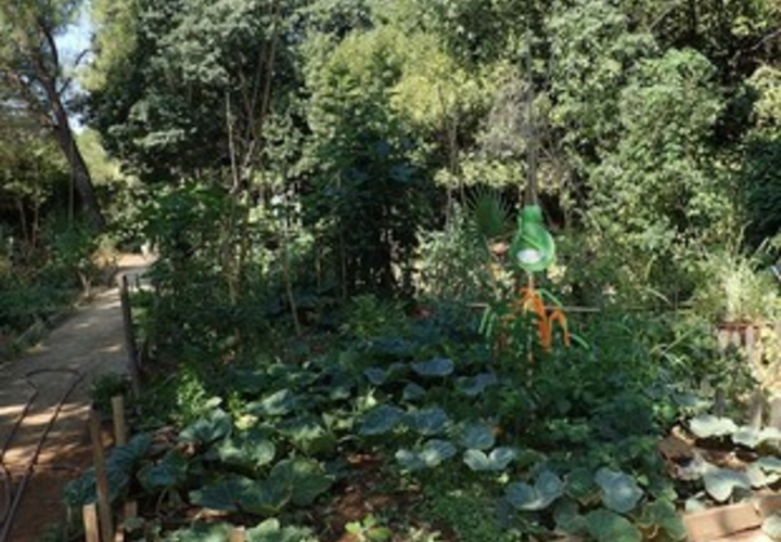 Parc de Bagatelle