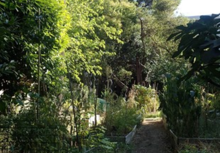 Parc Magnol