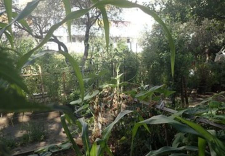 Jardin Grand Mail