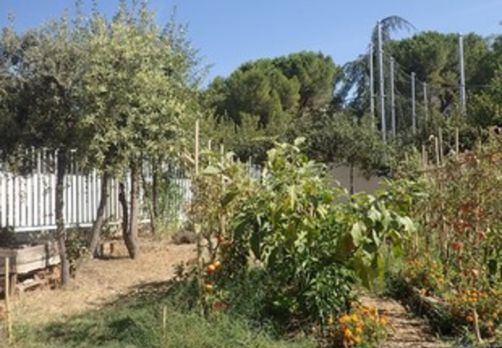 Jardin François Villon