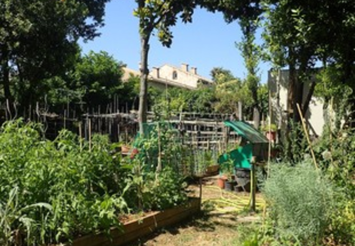 Parc Saint Martin