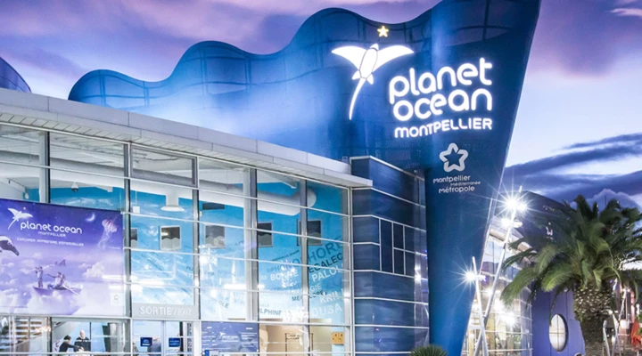 Planet Ocean Planet Ocean