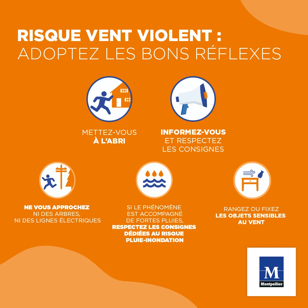Risque vent violent : adoptez les bons réflexes Risque vent violent : adoptez les bons réflexes