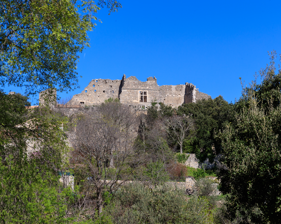 Montaud