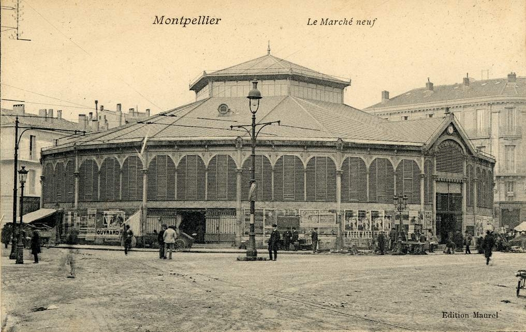 Le Marché neuf, vers 1900. Archives municipales de Montpellier, carte postale, 6Fi23