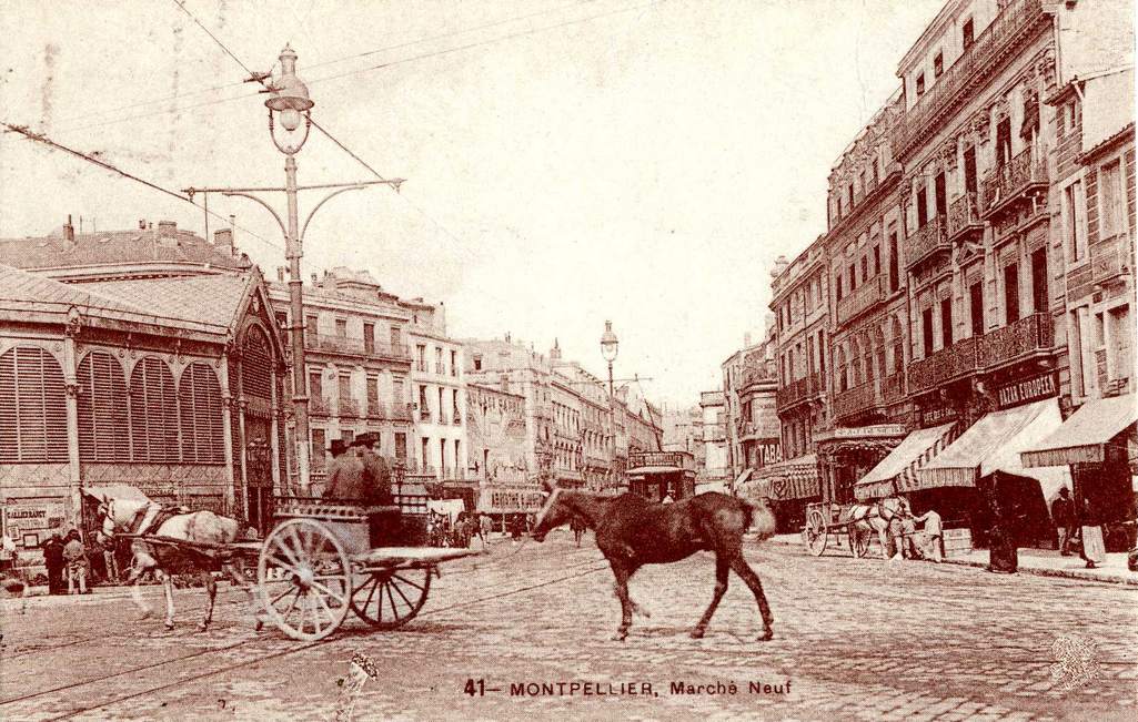 Marché neuf, Boulevard de l'observatoire, vers 1900, 6Fi 195