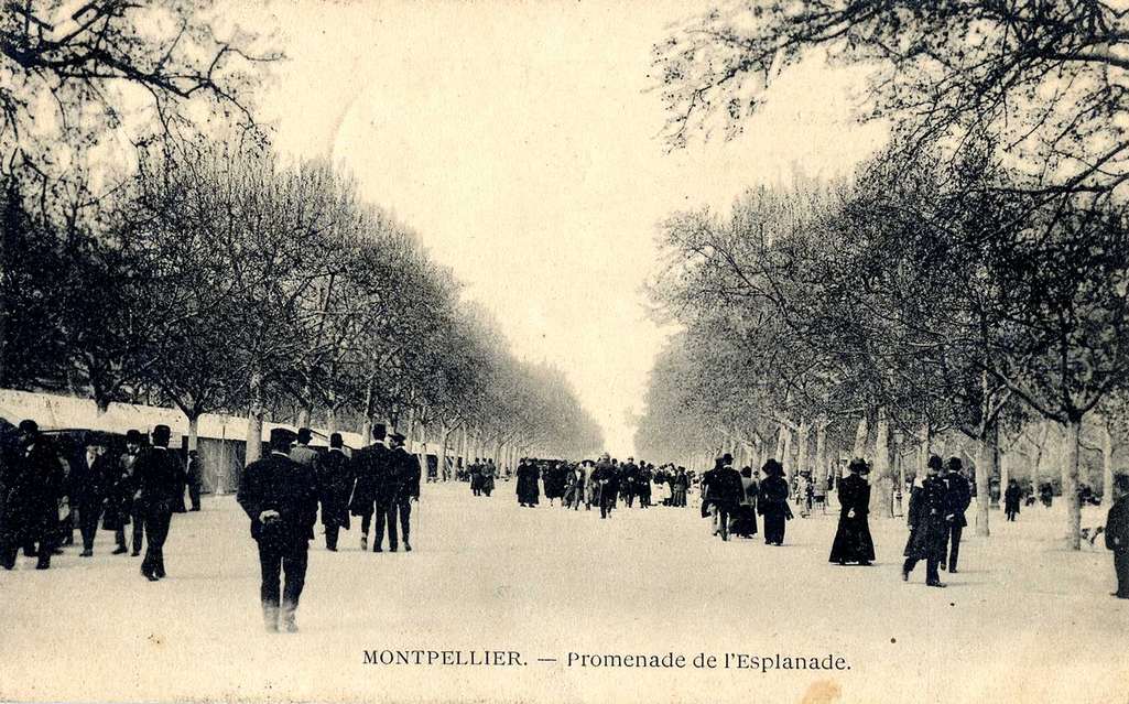 Promenade de l'Esplanade, vers 1900. AMM, carte postale, 6Fi584