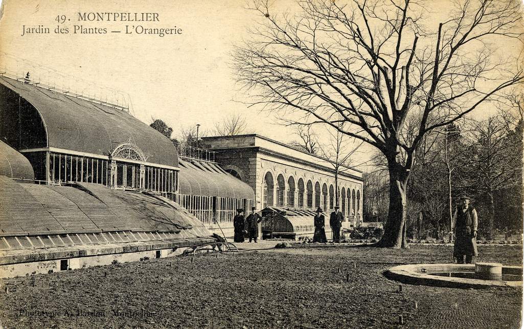 Jardin des plantes, vers 1900, 6Fi 183