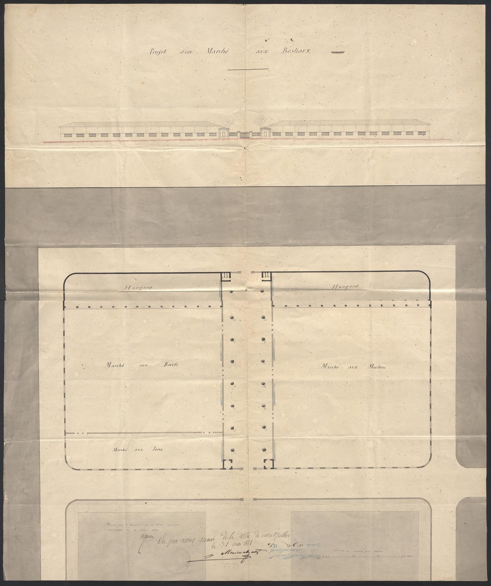Projet Marché aux bestiaux, signé J. Cassan, 31 mai 1851. AMM, 2Fi177