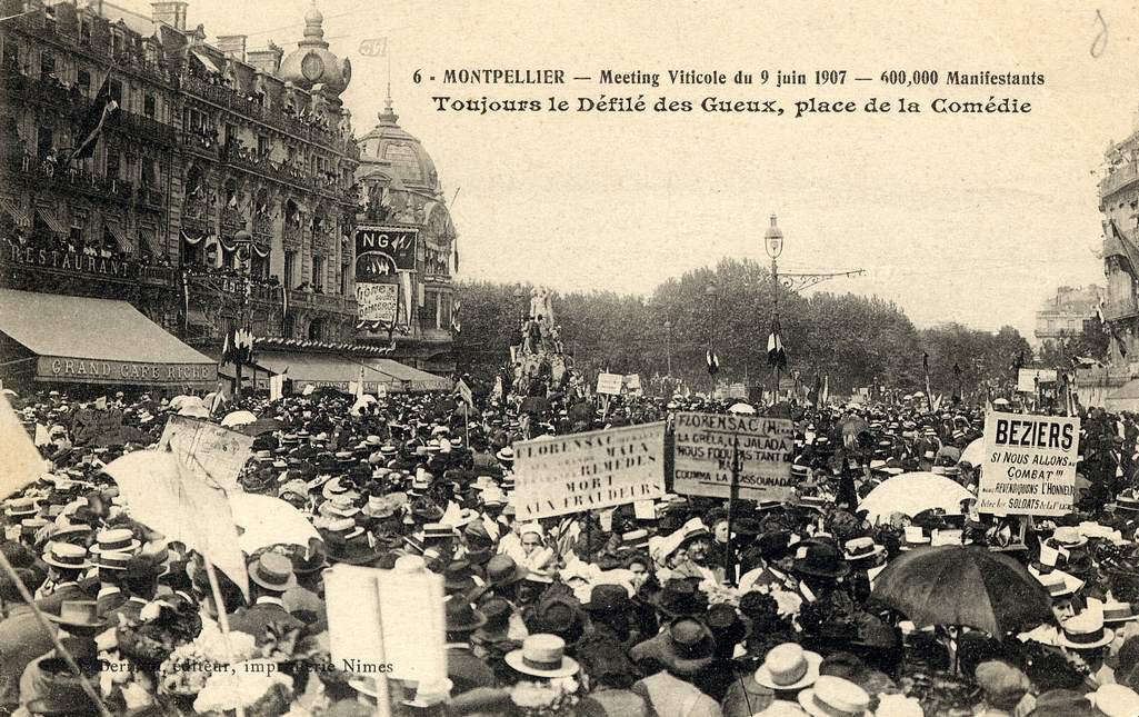 Manifestation viticole, en 1907, Fi 44