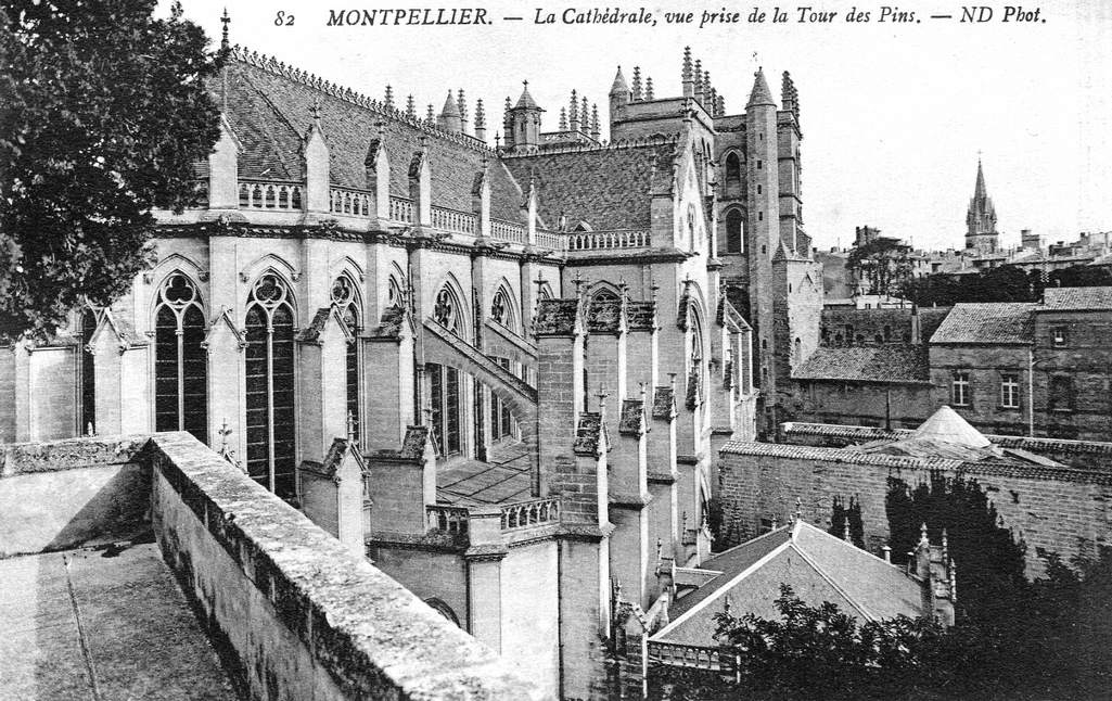 Cathédrale Saint-Pierre, vers 1900, 6Fi 376