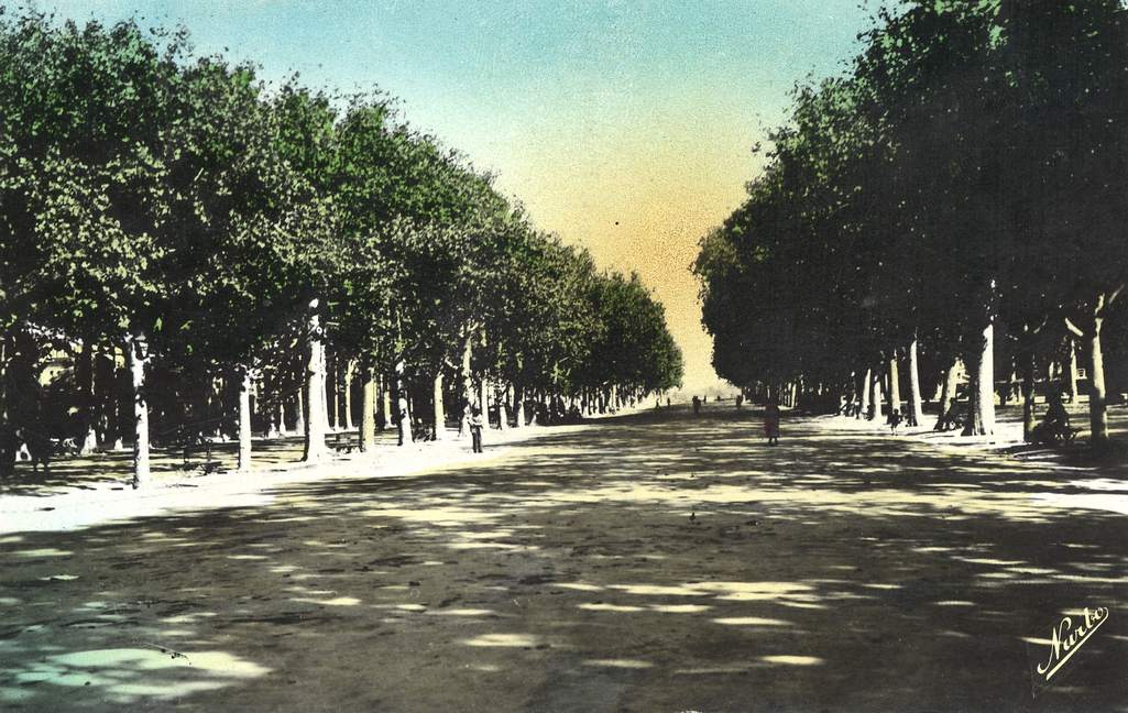 L'Esplanade, vers 1900. AMM, carte postale, 6Fi540