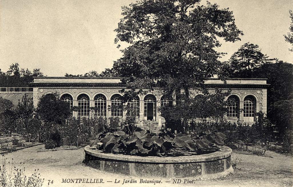 Jardin des plantes, vers 1900, 6Fi 184