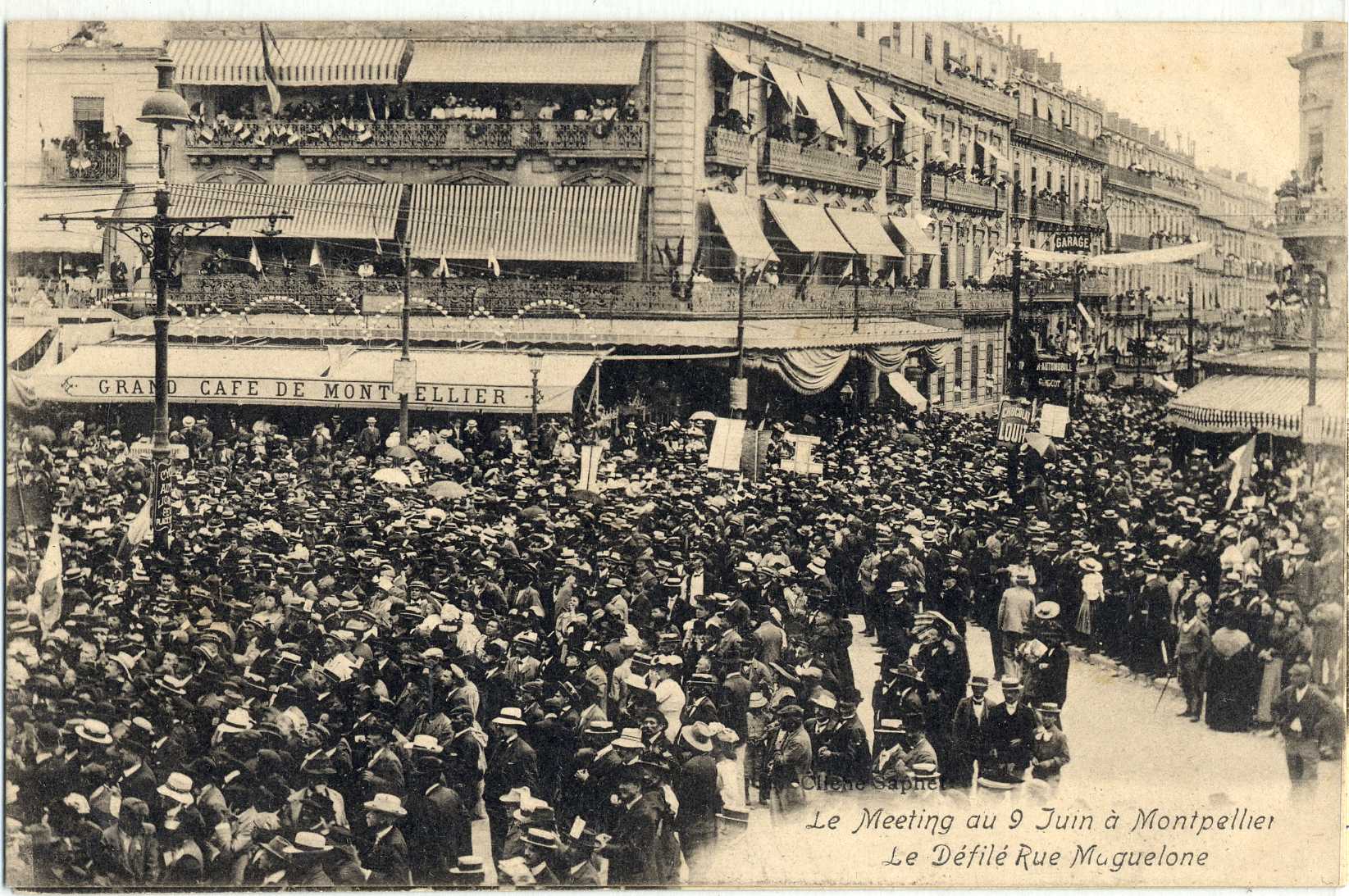 Manifestation viticole de 1907, 6Fi 59