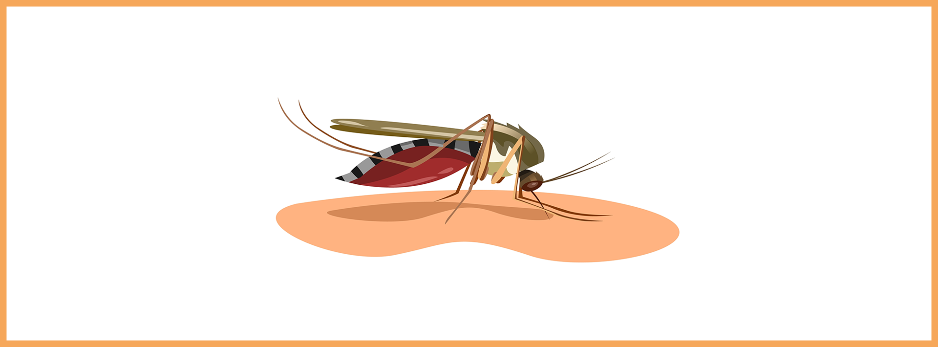 moustiques : Comment lutter contre les piqûres de moustiques ?