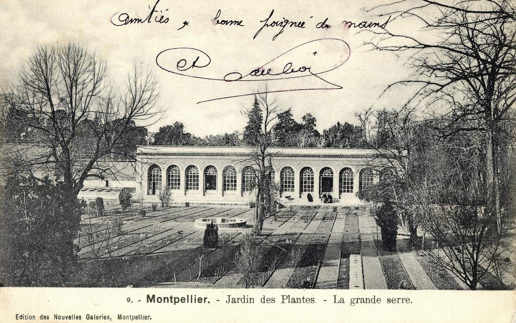 Jardin des plantes, vers 1900, 6Fi 188