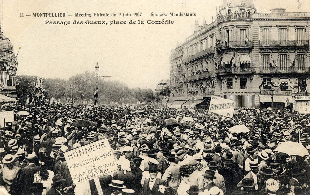 Manifestation viticole, en 1907, 6Fi 40