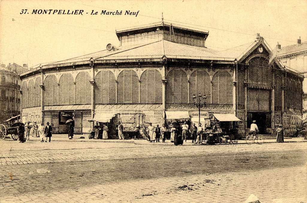 Le Marché neuf, vers 1900. Archives municipales de Montpellier, carte postale, 12Fi93