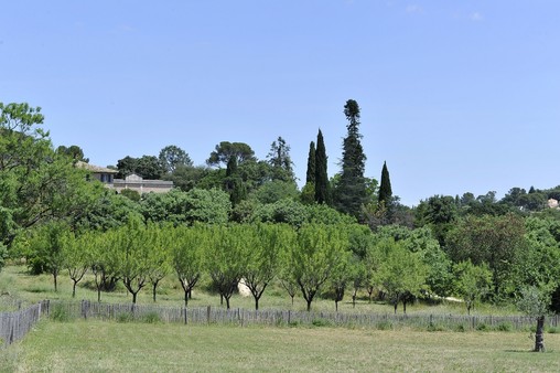 Réouverture progressive des parcs et jardins de la Ville de Montpellier