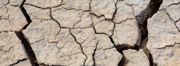 Sècheresse à Montpellier : reconnaissance de l'état de catastrophe naturelle pour la période 1er-30 juin 2021