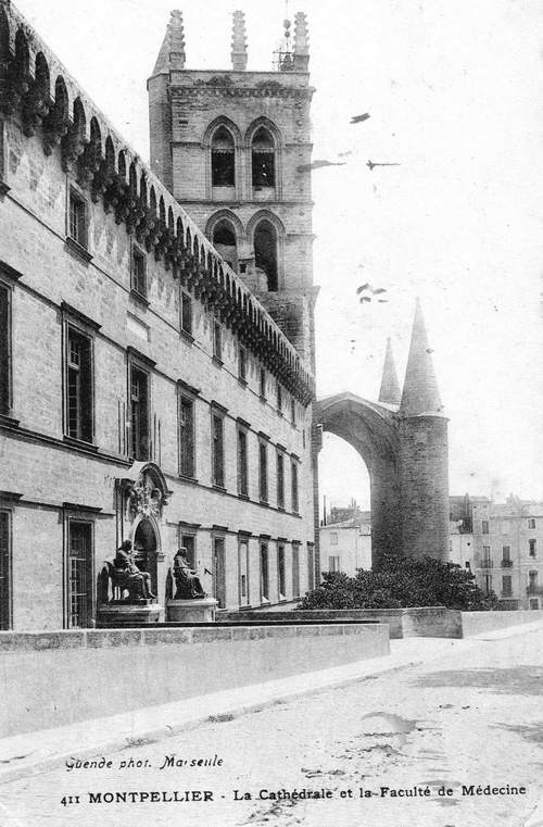Cathédrale et Faculté de médecine, vers 1900 