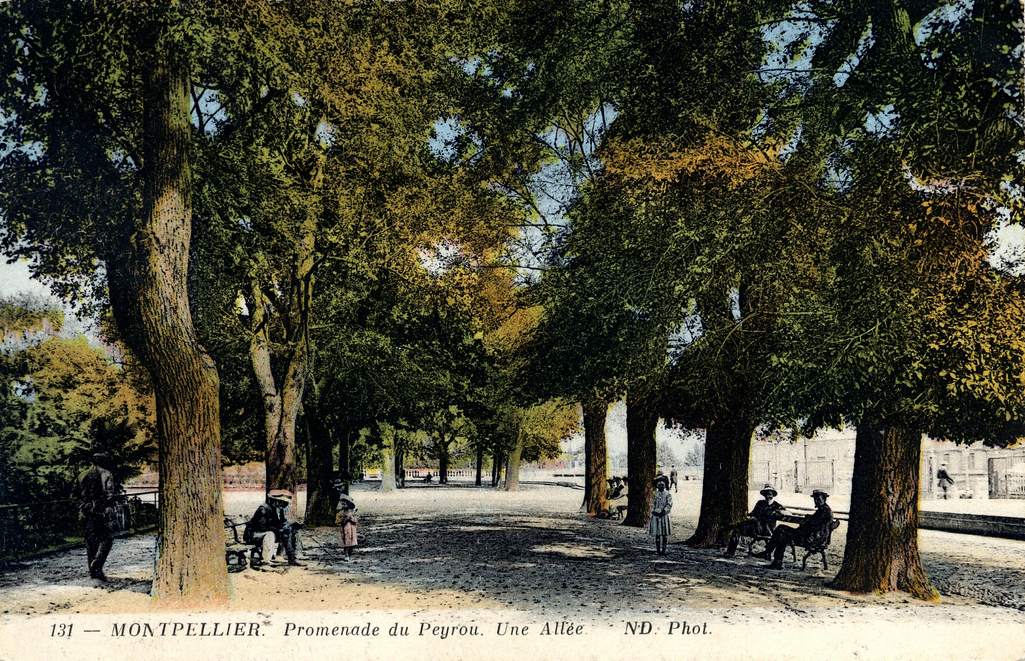 Promenade du Peyrou, vers 1900, 12Fi 107