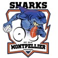 Montpellier Rugby Fauteuil – Les Sharks