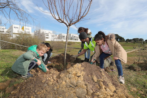 Avec l'opération "1000 arbres", Montpellier poursuit son engagement en faveur de la végétalisation de la Ville