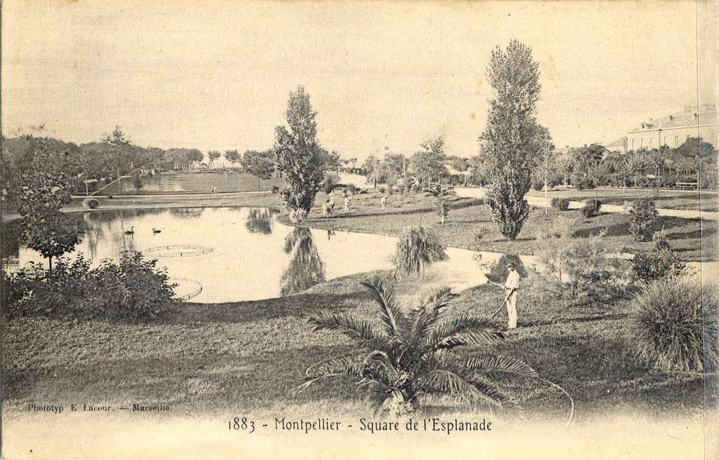 Square de l'Esplanade, vers 1900. AMM, carte postale, 6Fi853