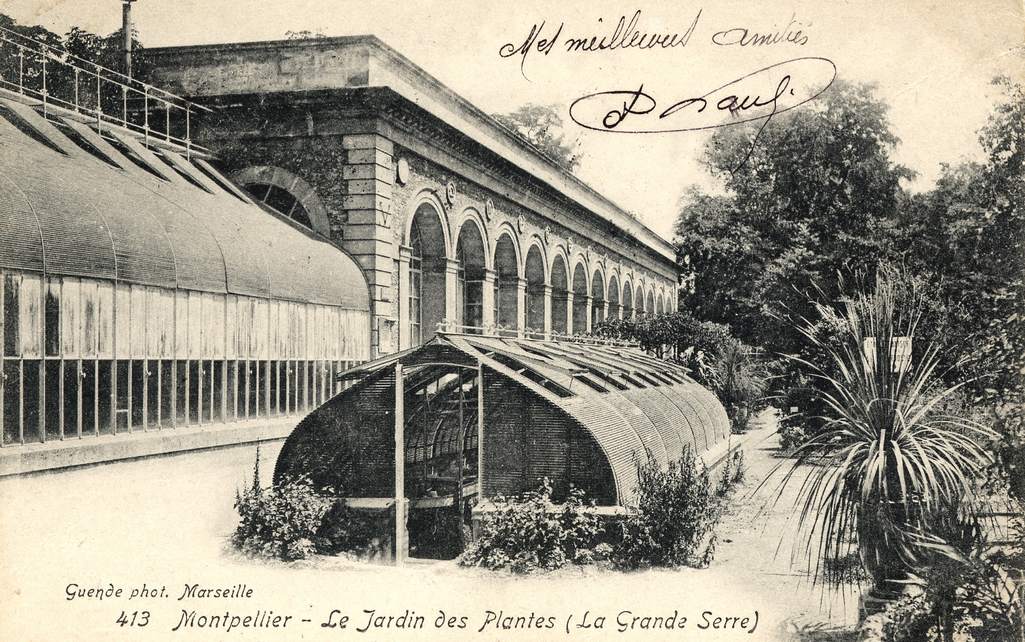 Jardin des plantes, vers 1900, 6Fi 185