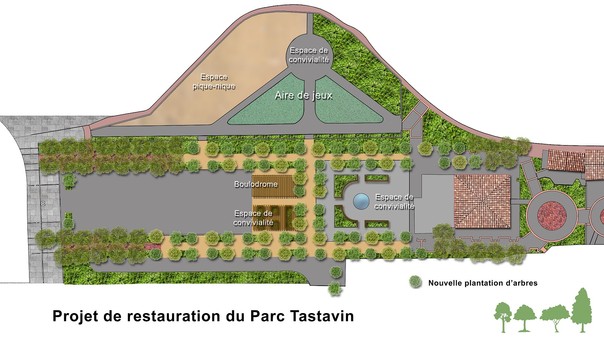 Parc Tastavin : travaux d’abattage de platanes pour stopper la prolifération du chancre coloré