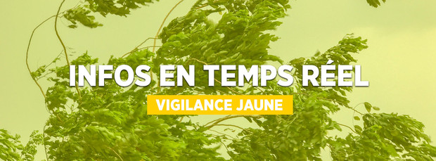 Mardi 26 mars 2024 dès 06h : vigilance jaune vents violents sur le département de l'Hérault
