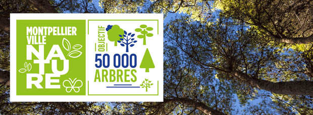 L’opération "50 000 arbres" pour une ville plus verte engagée par la ville de Montpellier