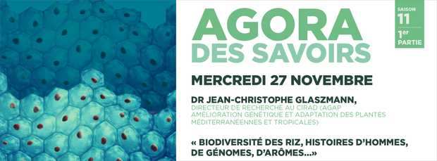 Agora des Savoirs : Biodiversité des riz, histoires d'hommes, de génomes, d'arômes...