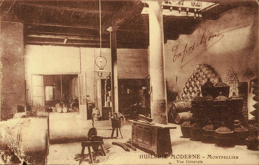 Huilerie, photographie autour de 1900. Archives de la ville de Montpellier