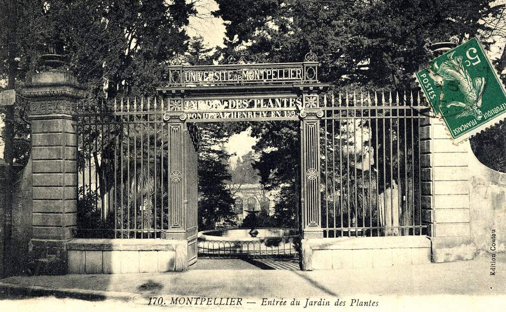 Jardin des plantes, vers 1900, 6Fi 186 